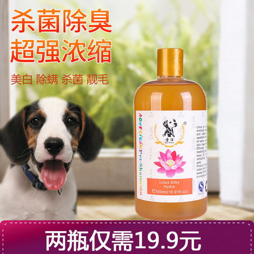 宠物沐浴露选购指南 金毛泰迪专用杀菌除臭，猫咪止痒香波大比拼